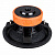 DL Audio Raven 12